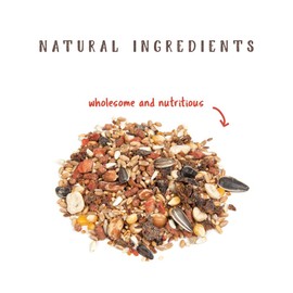 Manna Pro Chicken Treats | Harvest Delight Chicken Scratch | Chicken Feed Treat | Chicken Scratch Feed | 2.5 Pounds