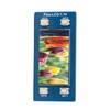 Color Display LCD Module SPI 240 X 135 Resolution for