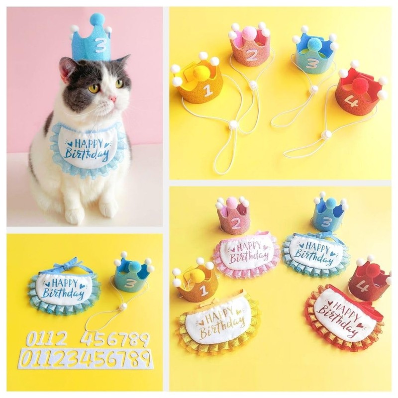 Dog, Birthday, Hat, Headwear, 3-Piece Set, Includes Numbers, Cat Birthday