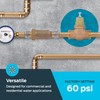 Cash Acme EB45 Pressure Regulating Valve, 1 Inch NPT Threaded,