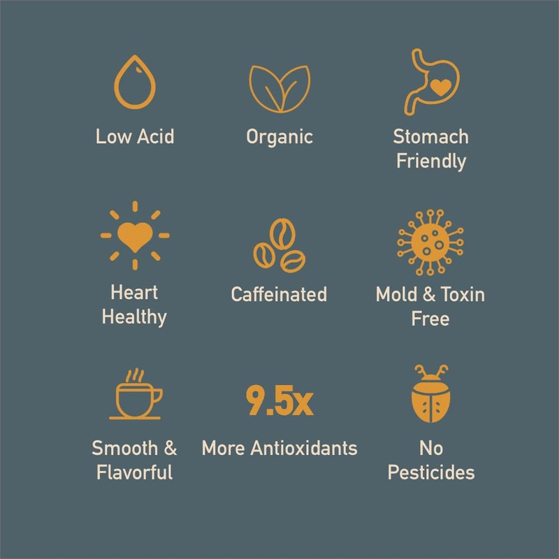 Healthy Bean Organic Ground Coffee Thrive Morning Blend - Low