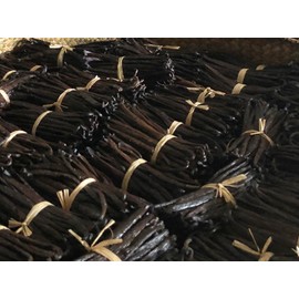 Spice Organic Bourbon Vanilla Beans, Pack of 10, 12-13 cm from Madagascar, Aromatic Vanilla Pods from Controlled Organic Cultivation, Fresh Harvest