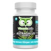 Astragalus Capsules – High Dose – 500 mg – Quality