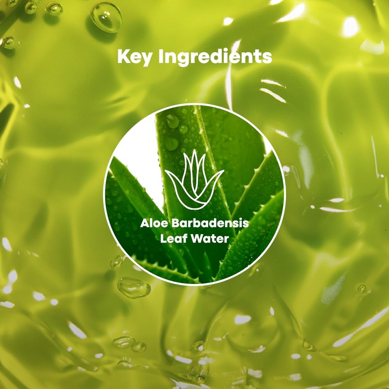 TONYMOLY Chok Chok Aloe Soothing Gel, 99% Aloe Vera Gel