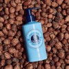 L'OCCITANE L'OCCITANE - Shea Butter Shower Cream - 250ml -