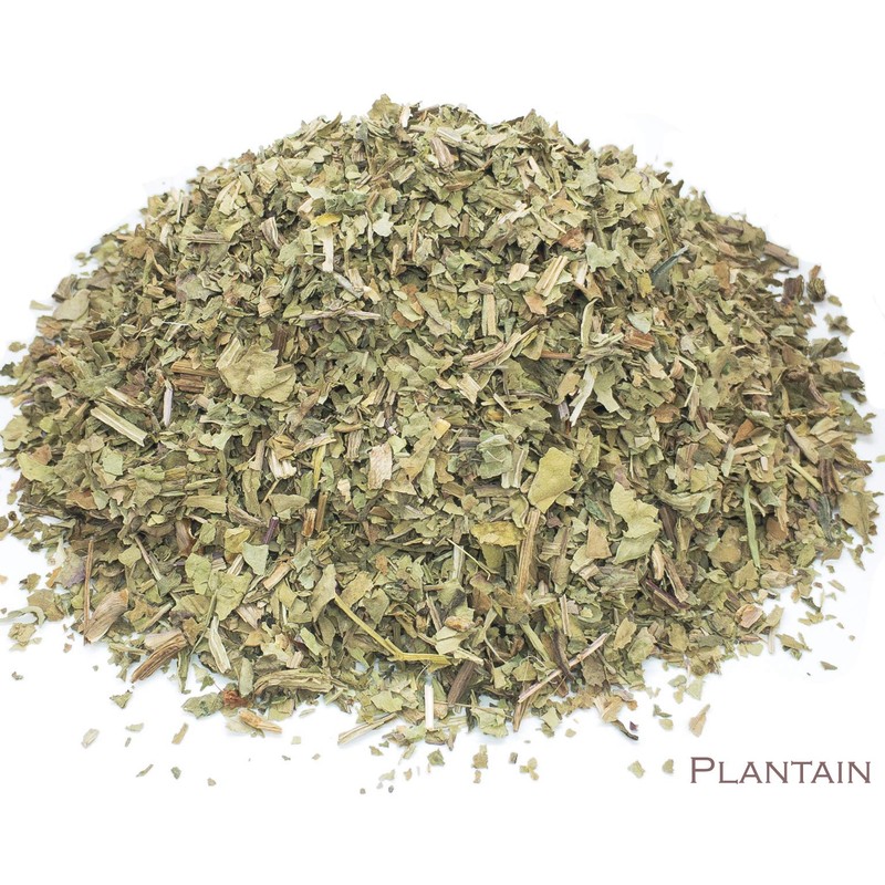 Plantain Leaf and Green Tea Herbal Infusion (Gyokuro - 25