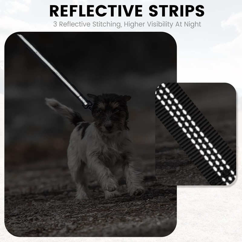 PuppyDoggy Dog Leash for Small to Medium Dogs 6 ft