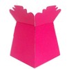 APAC Fuschia Living Vase Flower Box Flower Bouquet Transporter, Sweet Tree Box