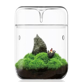 SARUFO Small Glass Plant Terrarium 4.7"X7" Inches Succulent Air Planter Fern Moss Micro-Landscape Vase for Home Garden Office Tabletop Decoration Container with Lid Indoor Wardian Copyright Patent