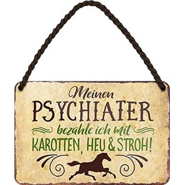 Tin Sign Funny Saying "My Psychiatrist BEZAHLE " Decorative Hanging Sign Door Sign Metal Sign Entrance Sign Gift Idea for All Horse Owners or Horse Fans 18 x 12 cm