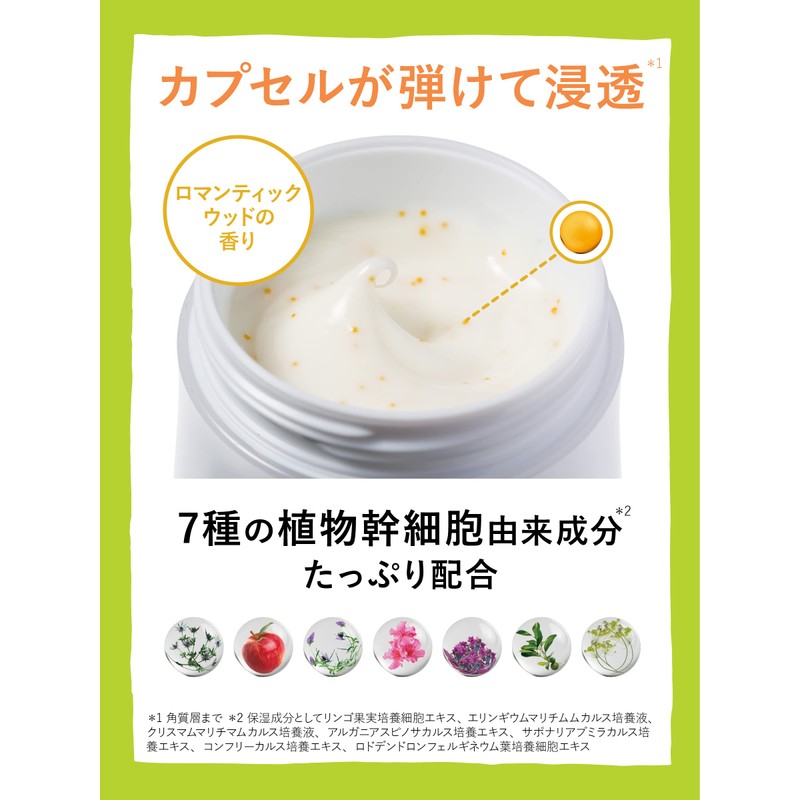 Ritz Revival Stem 7 (Beauty Cream) G