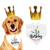 family Kitchen Funny Cute 1 Year Dog Birthday Bandana Scarfs