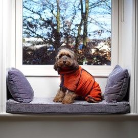 Lucky Paws® UK Dog Drying Coat - Luxurious Double Layer Dog Towel Robe - Dry Your Dogs in Minutes - Ultra Absorbent Drying Robe & Super Soft Dressing Gown (M, Amber)