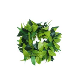 Hawaii Hangover Luau Party Maile King Artificial Fabric All Green Leaves Haku Head Band,Green Haku,1 Pack