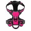 Adjustable Reflective Dog Harness for Daily Walks – Soft Breathable