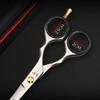 Professional 5.5 Inch Hair Scissors Shears Premium Stainless Steel for