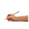 Great Inkless Ballpoint Pen from Napkin Forever