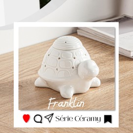 Bruciatore profumato Ceramy Franklin - Bruciatore fondente profumato - Oggetto artigianato contemporaneo - Aromaterapia facile - Interni moderni profumati -Statue Tartaruga Carignon - 45 ml - H 11,5