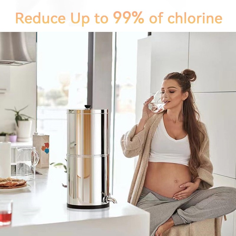 2387 Pro Water Filter - NSF/ANSI Certified for Alexapure Water