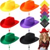 Coume 6 Sets Adult Cowboy Hat for Women and Men