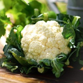 David's Garden Seeds Cauliflower Self-Blanching 25 Non-GMO, Heirloom Seeds