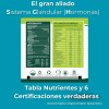 Spirulina Maxima Polvo Spiral Spring 250g Suplemento Natural
