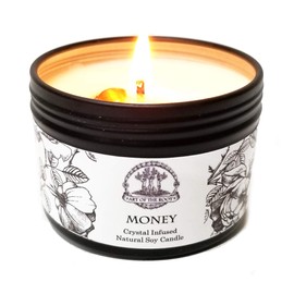 Money Drawing Mini Spell Set | 4 oz Soy Candle with Tiger's Eye Crystal & a 1/2 oz Oil | Wealth, Cash, Prosperity, Abundance Rituals | Wiccan, Pagan, Hoodoo, Conjure, Magick