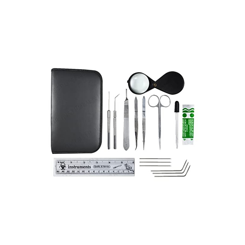 KIT Botany Dissection