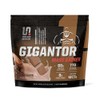 Undefined Nutrition Gigantor Mass Gainer by Brian Shaw (60g Protein,