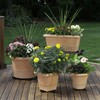 LeafLassie Plant Pot Feet for Outdoor Planters, 12PCS Invisible Flower