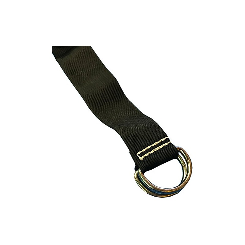 Commercial Grade Bounce House Storage Strap Belt 15-Feet Long 2-inch