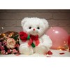 HollyHOME - Oso de peluche (30,5 cm), diseño de oso