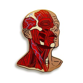 Pinsanity Head Anatomy Enamel Lapel Pin