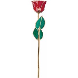 PRECIOUS STARS Gold Dipped Rose 24K Real Flower, 12 inch Long stem, 24k Gold Plated Real Rose, Gifts for Mom, Birthday Gift for Women, Mothers and Valentines Day, Rose for Anniversary (Ruby Lacquer)
