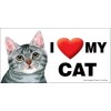 I (Heart) Love my CAT Grey Tabby Full Color Car