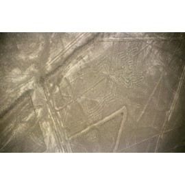 The Nazca Lines Spider Poster Photo Archaeoastronomical Sites Peru Posters Photos 20x30