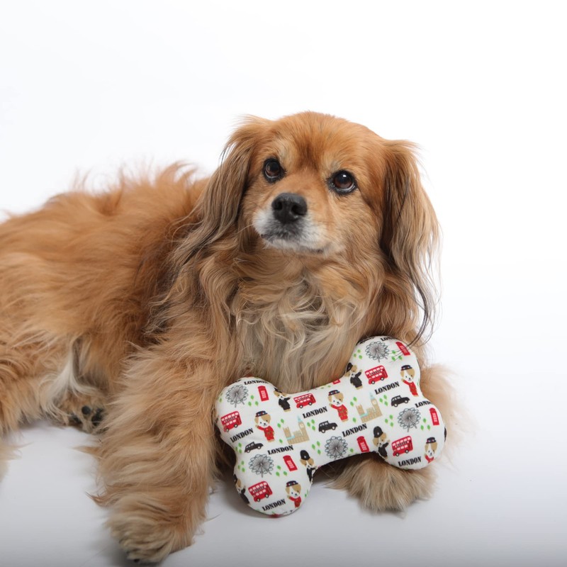 Pet London British Squeaker Bone Dog Toy-Full size squeaky insert