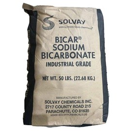 In The Swim Solvay Bicar Sodium Bicarbonate Alkalinity Up, 50 lbs.