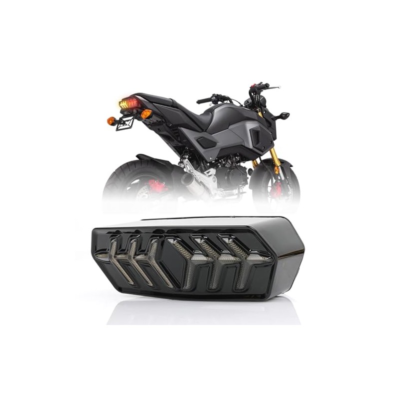 DREAMIZER Integrated Motorcycle Rear Light with Indicator LED Brake Light,