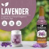 Syruvia Lavender Syrup for Coffee & Cocktails 25.4 Ounces Syrups