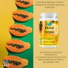 Enzimas Digestivas Cápsulas Mezcla ideal | Suplemento Premium para Mejor