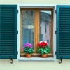 MorningRo 2 Pack Black S Style Shutter Dogs Hardware Decorative