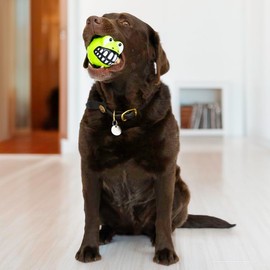 KONG Grinz Dog Toy – Durable Squeaky Ball with Erratic Bounce and Fun Grinning Design for Interactive Fetch and Play (Frog, Large)