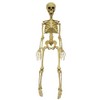 MORRIS COSTUMES Skeleton 36 Inch