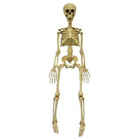 MORRIS COSTUMES Skeleton 36 Inch