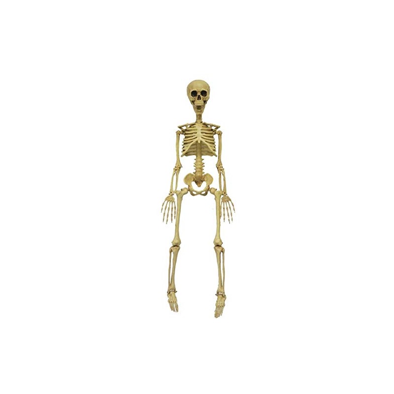 MORRIS COSTUMES Skeleton 36 Inch