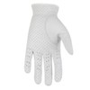 Rife RX Cabretta Glove