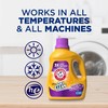 ARM & HAMMER Plus OxiClean Odor Blasters Fresh Burst, 77
