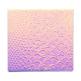 FOMIYES Empty Eyeshadow Pan Travel Empty Eyeshadow Pans Make up Organizer Saint Makeup Pallet Makeup Container Eyeshadow Palettes Palette Small Empty for Cardboard