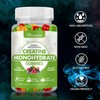 Creatine Monohydrate Gummies - 5g Creatine for Women Men, Enhanced
